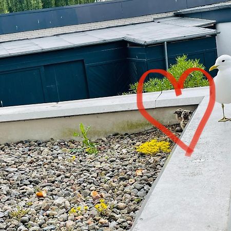 Apartment Mövenkoje für 1-2 Personen mit Pool Dahme  Exterior foto